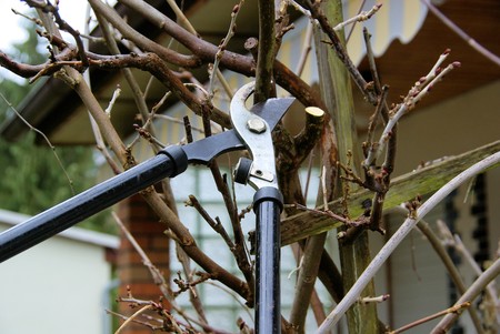 tree cutting 26