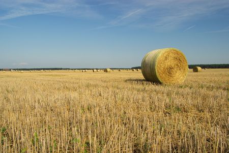 bale of strawの写真素材