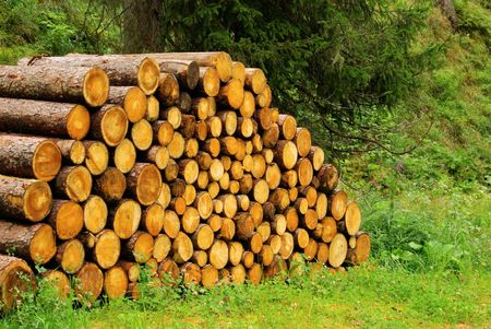 firewood