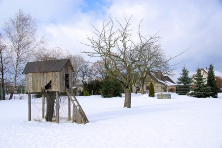 tree houseの写真素材