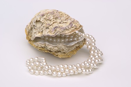 oyster with pearl necklaceの写真素材