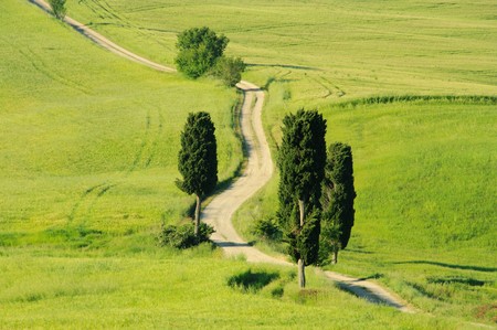 Tuscany hills  の写真素材