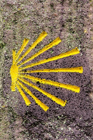  St James shell 07の写真素材