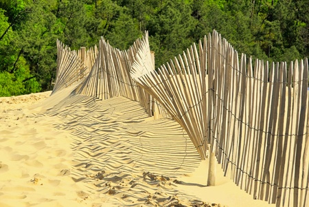 Dune du Pyla 13の写真素材