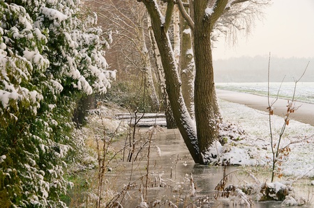 winterの写真素材