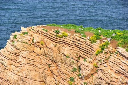 Hendaye coast 05の写真素材