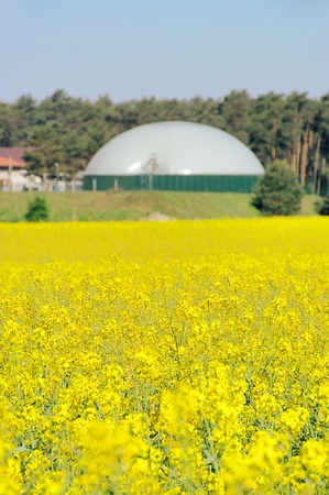biogas plant rape fieldの写真素材