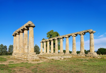 Metapont 04のeditorial素材