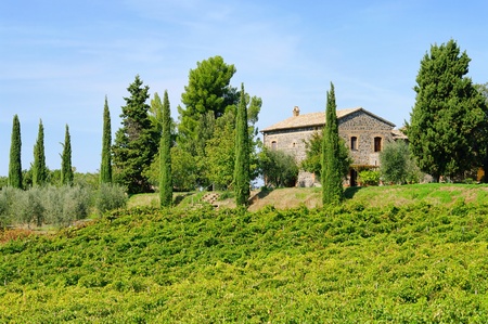 Podere 47のeditorial素材