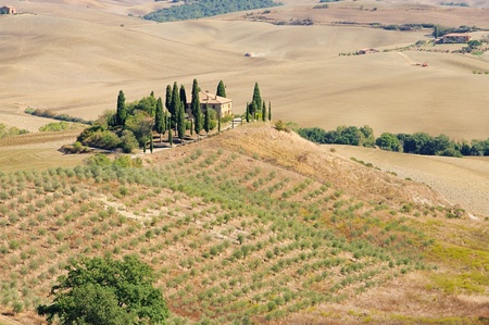 Podere in fall 02のeditorial素材