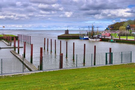 Dangastのeditorial素材