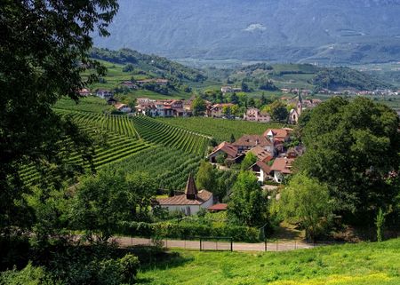 Frangarto near Bolzano view to Val d Adige