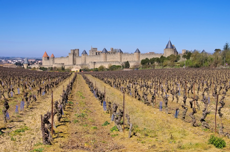 Castle of Carcassonne and vineyard in winter, southern Franceのeditorial素材