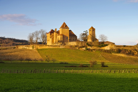 Chateau Pierreclos in Burgundy, Franceのeditorial素材