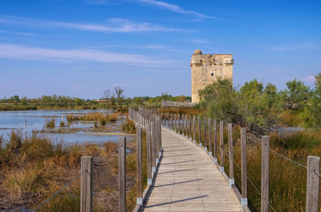 Aigues Mortes, Tour Carbonniere in Camargue, Franceのeditorial素材