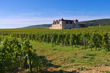Chateau du Clos de Vougeot, Cote d'Or, Burgundy in Franceのeditorial素材