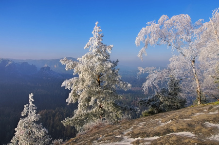 Elbe sandstone mountains in winter and hoarfrost, view from mountain Teichsteinの写真素材