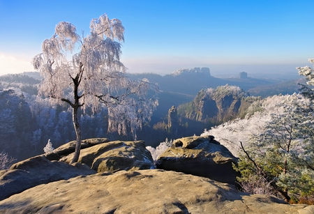 Elbe sandstone mountains in winter and hoarfrost, Carolarockの写真素材