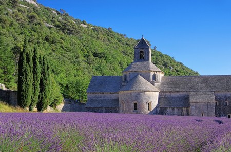 Senanque 31の写真素材