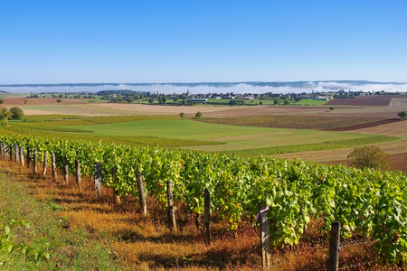 Amazy, small village in Burgundy, Franceの写真素材