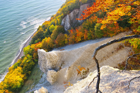 Ruegen island, the chalk cliffs in autumnの写真素材