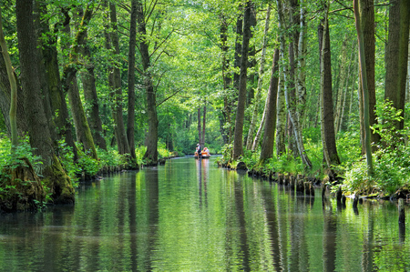 Spree Forest  water canal, landscape in  Brandenburgの写真素材