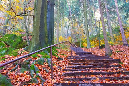Stairs to the Pfaffenstein in the Elbe sandstone mountains in autumn