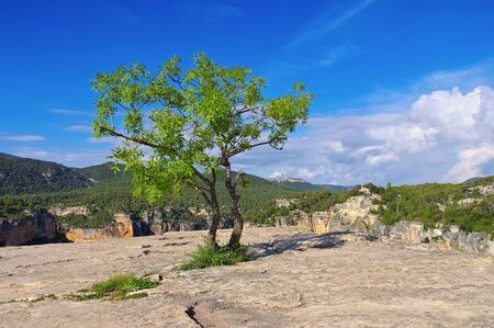 landscape near village Siurana in Catalonia mountains, Spainの写真素材