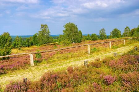 landscape Lueneburg Heath in autumn near Wilsede, view from the hillの写真素材