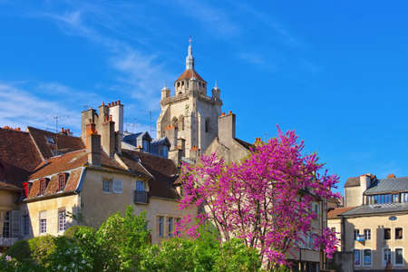 the town Dole and church in France
