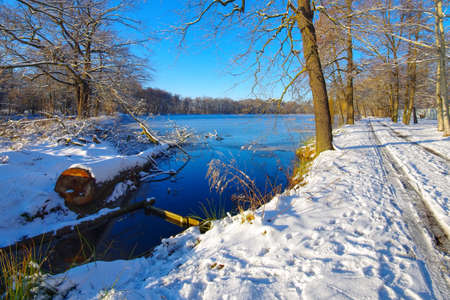 tranquil pond in winter on a cold winter dayの写真素材