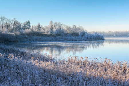 Drochow Lake in Lusatian Lake District in winter, Germanyの写真素材