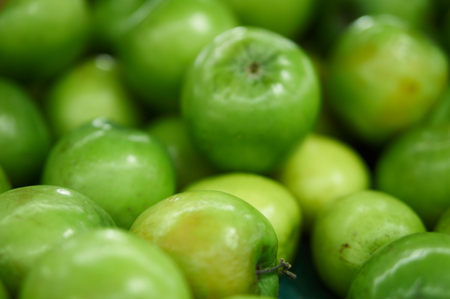 Jujubeの写真素材