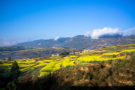 Plateau landscapeの写真素材