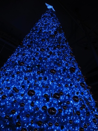 Blue Christmas Treeの写真素材