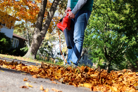 Man working with  leaf blower: the leaves are being swirled up and down on a sunny day