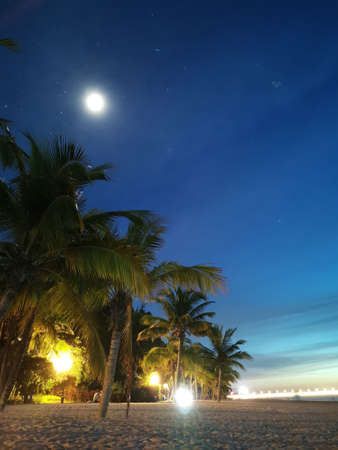 Haihua Island, beach, sunset, sunset, sea breeze, coconuts, coconut trees, waves, sea water, Hainan, shelter from the coldの写真素材