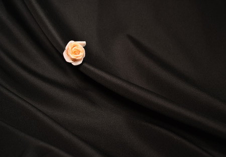 this can be used as backgroundの写真素材