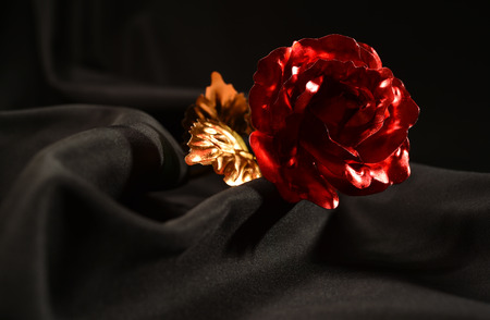 red roseの写真素材