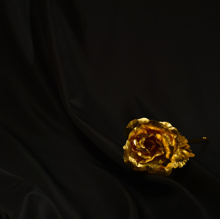 fake roseの写真素材