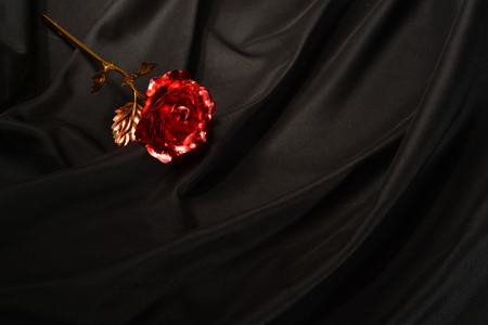 fake roseの写真素材
