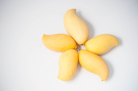 mangoの写真素材