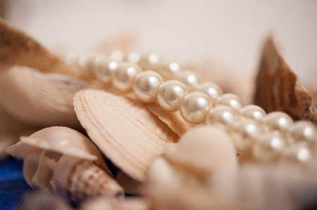 Seashells with pearl necklaceの写真素材