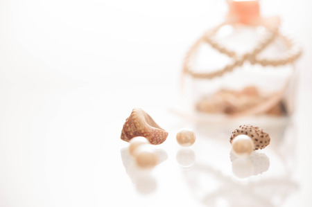 Seashells in a glass container の写真素材