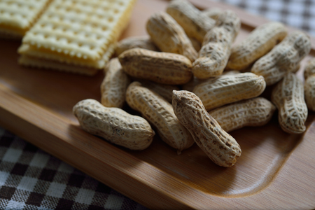 biscuit and peanutsの写真素材