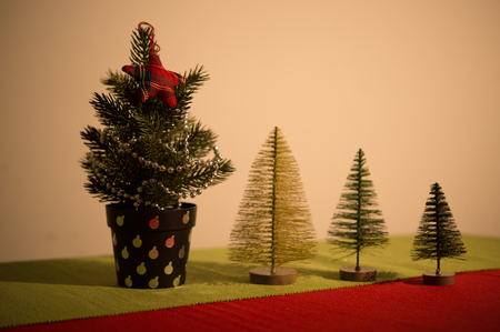 christmas treeの写真素材
