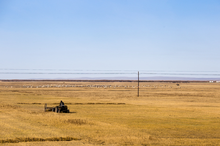 Tractor in a hay fieldの写真素材
