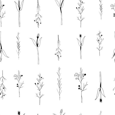 Vector seamless botanical pattern with hand drawn herbs isolated on white background. Endless texture. Wrapping paper,textile fabric print. Cover for planner, notebook. Black and white.のイラスト素材
