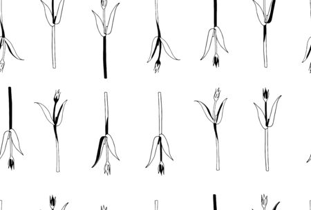 Vector seamless botanical pattern with hand drawn herbs isolated on white background. Endless texture. Wrapping paper,textile fabric print. Cover for planner, notebook. Black and white.のイラスト素材
