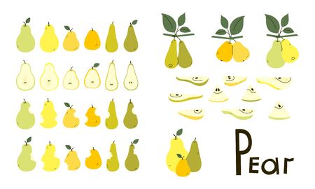 Pears whole, cut, bitten. Pear half and slices. Pear tree branches with leaves. Set of vector objects in yellow, green, orange colors isolated on white. Positive flat design. Cartoon style. Clip artのイラスト素材